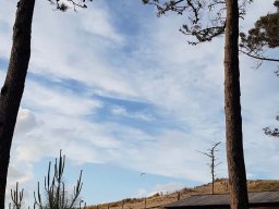 Dune du pilat