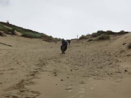 Dune du pilat