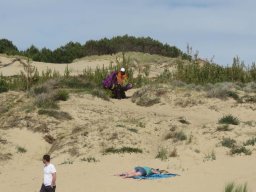 Dune du pilat